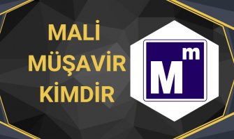Mali Müşavir Kimdir