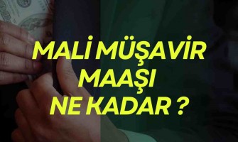 Mali Müşavir maaşı ne kadar Mali Müşavir maaşı ne kadar
